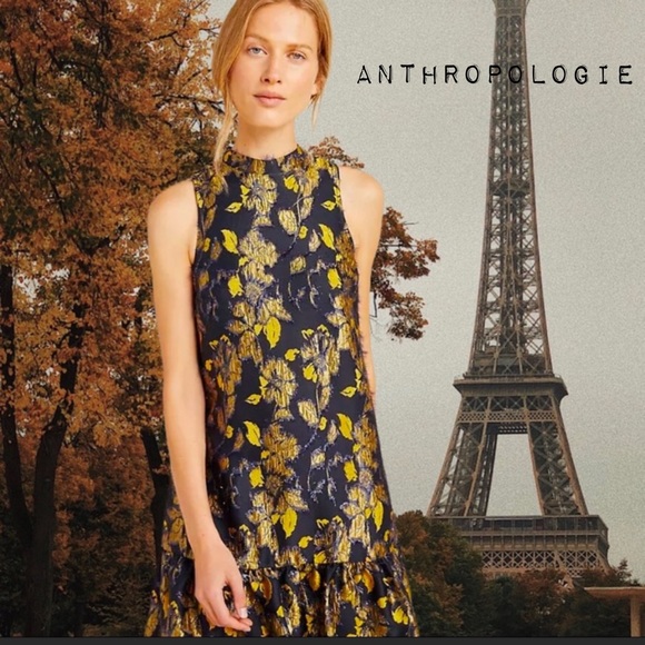 Anthropologie Dresses & Skirts - Anthropologie NWT Liza Textured Swing Dress Large